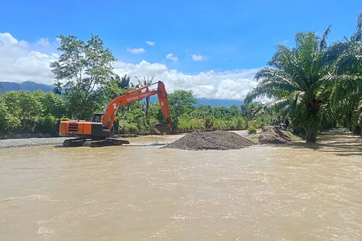 Areal perkebunan terendam banjir di wilayah Aceh Tenggara, Jumat (9/10/2026).